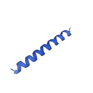 21817_6wl8_BA_v1-1
Cryo-EM of Form 2 peptide filament