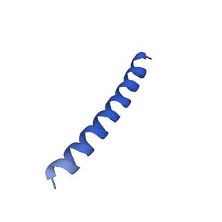 21817_6wl8_B_v1-1
Cryo-EM of Form 2 peptide filament