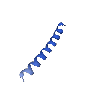 21817_6wl8_B_v1-2
Cryo-EM of Form 2 peptide filament