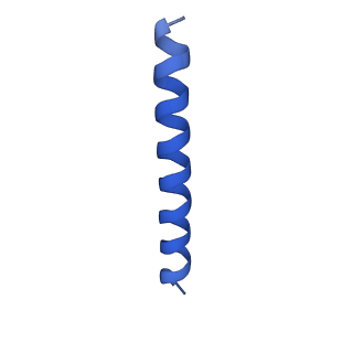 21817_6wl8_DA_v1-1
Cryo-EM of Form 2 peptide filament
