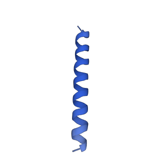 21817_6wl8_EA_v1-1
Cryo-EM of Form 2 peptide filament