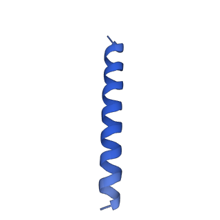 21817_6wl8_EA_v1-2
Cryo-EM of Form 2 peptide filament