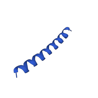 21817_6wl8_E_v1-1
Cryo-EM of Form 2 peptide filament