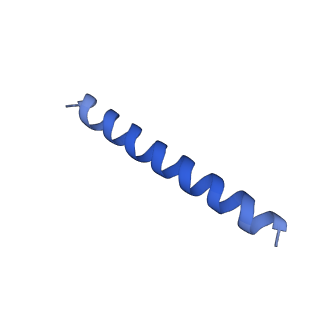 21817_6wl8_FA_v1-1
Cryo-EM of Form 2 peptide filament
