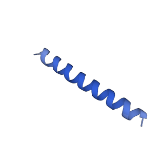 21817_6wl8_FA_v1-2
Cryo-EM of Form 2 peptide filament