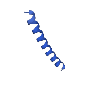 21817_6wl8_F_v1-2
Cryo-EM of Form 2 peptide filament