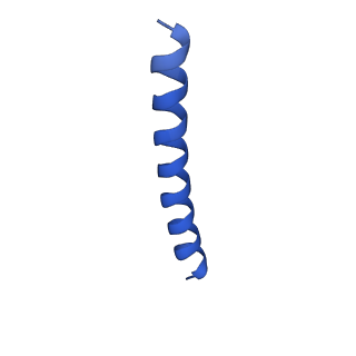 21817_6wl8_G_v1-2
Cryo-EM of Form 2 peptide filament