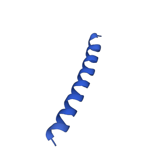 21817_6wl8_H_v1-2
Cryo-EM of Form 2 peptide filament