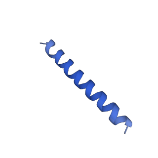 21817_6wl8_LA_v1-1
Cryo-EM of Form 2 peptide filament