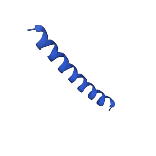 21817_6wl8_L_v1-1
Cryo-EM of Form 2 peptide filament