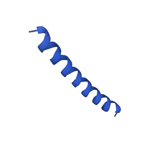 21817_6wl8_L_v1-2
Cryo-EM of Form 2 peptide filament