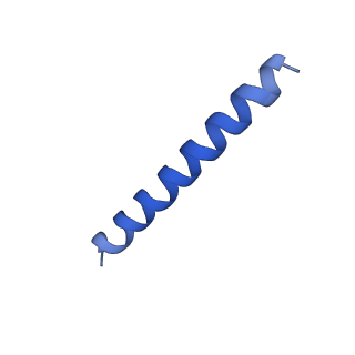 21817_6wl8_MA_v1-2
Cryo-EM of Form 2 peptide filament