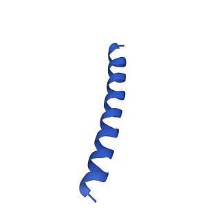 21817_6wl8_N_v1-2
Cryo-EM of Form 2 peptide filament