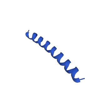 21817_6wl8_O_v1-1
Cryo-EM of Form 2 peptide filament