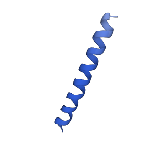 21817_6wl8_PA_v1-2
Cryo-EM of Form 2 peptide filament