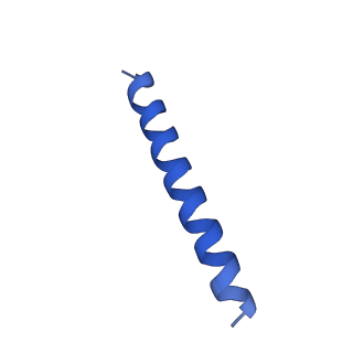 21817_6wl8_QA_v1-2
Cryo-EM of Form 2 peptide filament