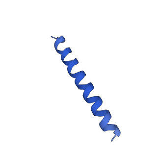 21817_6wl8_RA_v1-2
Cryo-EM of Form 2 peptide filament