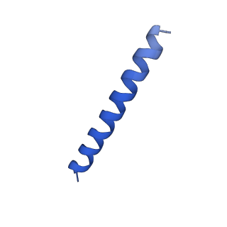 21817_6wl8_SA_v1-1
Cryo-EM of Form 2 peptide filament