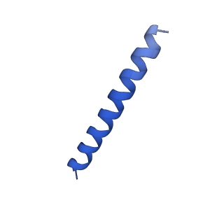 21817_6wl8_SA_v1-2
Cryo-EM of Form 2 peptide filament