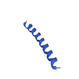 21817_6wl8_U_v1-2
Cryo-EM of Form 2 peptide filament