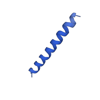 21817_6wl8_VA_v1-1
Cryo-EM of Form 2 peptide filament