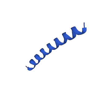 21817_6wl8_V_v1-2
Cryo-EM of Form 2 peptide filament