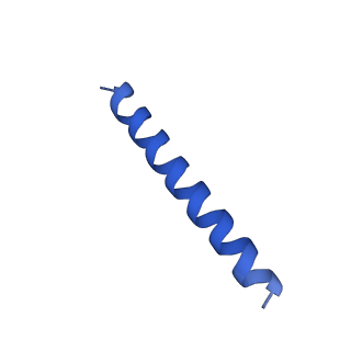 21817_6wl8_WA_v1-1
Cryo-EM of Form 2 peptide filament