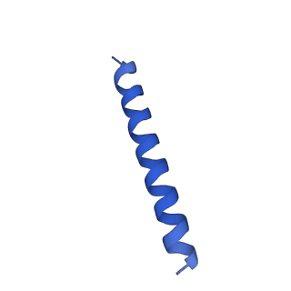 21817_6wl8_XA_v1-1
Cryo-EM of Form 2 peptide filament