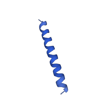 21817_6wl8_XA_v1-2
Cryo-EM of Form 2 peptide filament