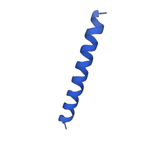 21817_6wl8_YA_v1-2
Cryo-EM of Form 2 peptide filament