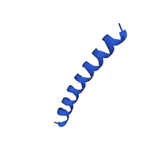 21817_6wl8_Y_v1-1
Cryo-EM of Form 2 peptide filament