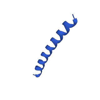 21817_6wl8_Y_v1-2
Cryo-EM of Form 2 peptide filament