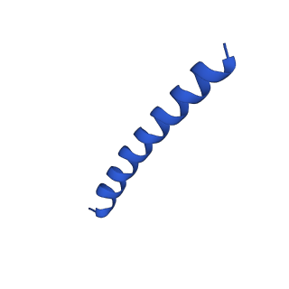 21817_6wl8_b_v1-2
Cryo-EM of Form 2 peptide filament