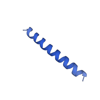 21817_6wl8_cA_v1-1
Cryo-EM of Form 2 peptide filament