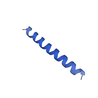 21817_6wl8_cA_v1-2
Cryo-EM of Form 2 peptide filament