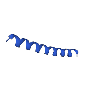 21817_6wl8_c_v1-1
Cryo-EM of Form 2 peptide filament