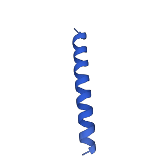 21817_6wl8_dA_v1-1
Cryo-EM of Form 2 peptide filament