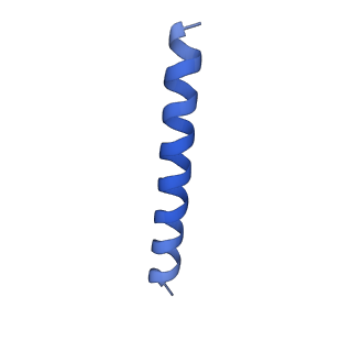 21817_6wl8_eA_v1-1
Cryo-EM of Form 2 peptide filament