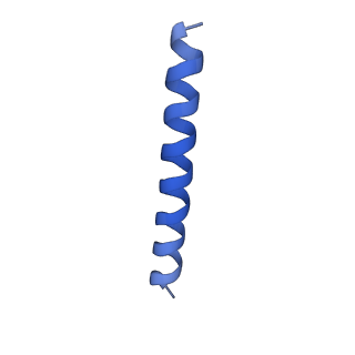 21817_6wl8_eA_v1-2
Cryo-EM of Form 2 peptide filament