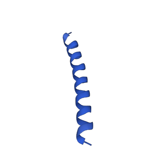 21817_6wl8_g_v1-1
Cryo-EM of Form 2 peptide filament