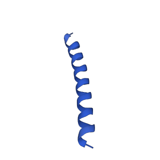 21817_6wl8_g_v1-2
Cryo-EM of Form 2 peptide filament