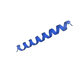 21817_6wl8_hA_v1-2
Cryo-EM of Form 2 peptide filament