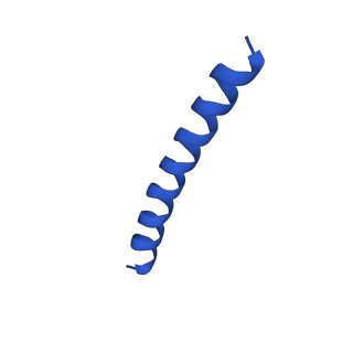 21817_6wl8_h_v1-1
Cryo-EM of Form 2 peptide filament
