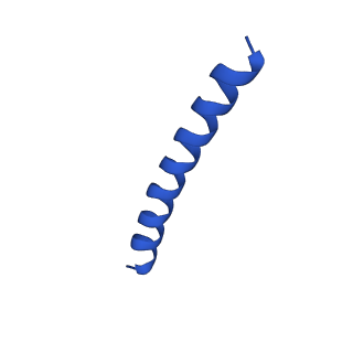 21817_6wl8_h_v1-2
Cryo-EM of Form 2 peptide filament