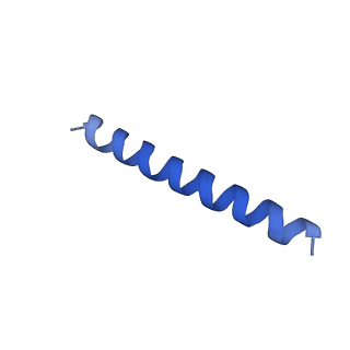 21817_6wl8_iA_v1-2
Cryo-EM of Form 2 peptide filament