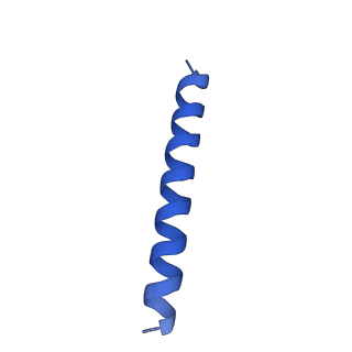 21817_6wl8_jA_v1-1
Cryo-EM of Form 2 peptide filament