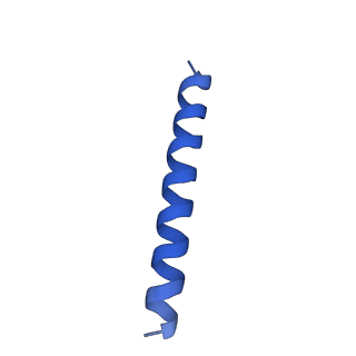 21817_6wl8_jA_v1-2
Cryo-EM of Form 2 peptide filament