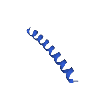 21817_6wl8_l_v1-1
Cryo-EM of Form 2 peptide filament