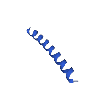 21817_6wl8_l_v1-2
Cryo-EM of Form 2 peptide filament