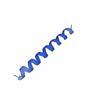 21817_6wl8_mA_v1-1
Cryo-EM of Form 2 peptide filament